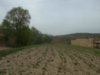 10367190_634410816636335_1471662064126685780_n