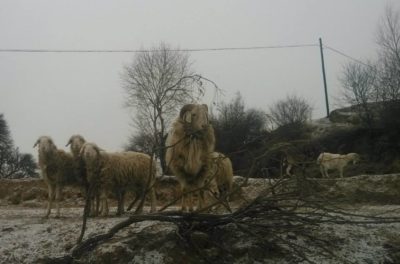 10622791_776254339118648_8015050212376033972_n