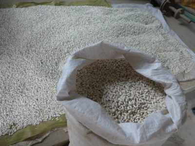 10649700_681197738624309_7093643251482576639_n