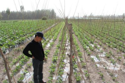 10649711_681197708624312_4844270214489459677_n