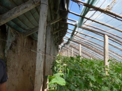 10670008_834466863297395_951327175443064179_n