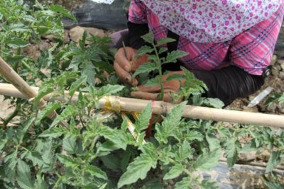 10703786_681197648624318_4963473363021153773_n