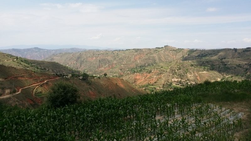 11011265_834466686630746_6377747558720791495_n