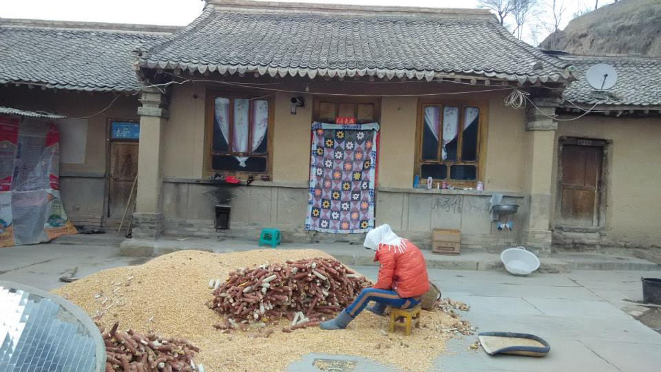 11058656_771827479561334_744135825955451135_n