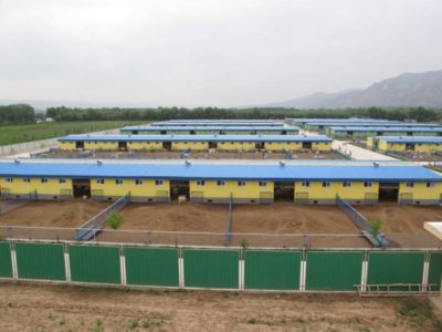 11147076_834466966630718_3332524893701536042_n