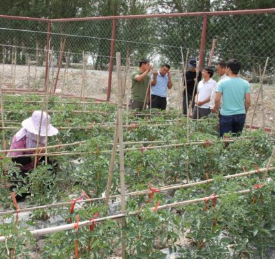 11312_681197611957655_6863703640556056495_n