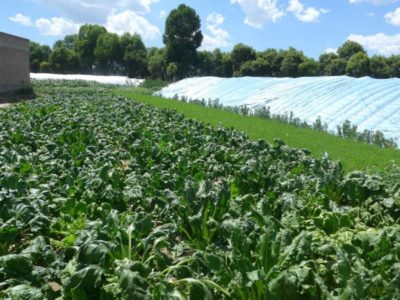 11707473_834466859964062_3557997755997970007_n