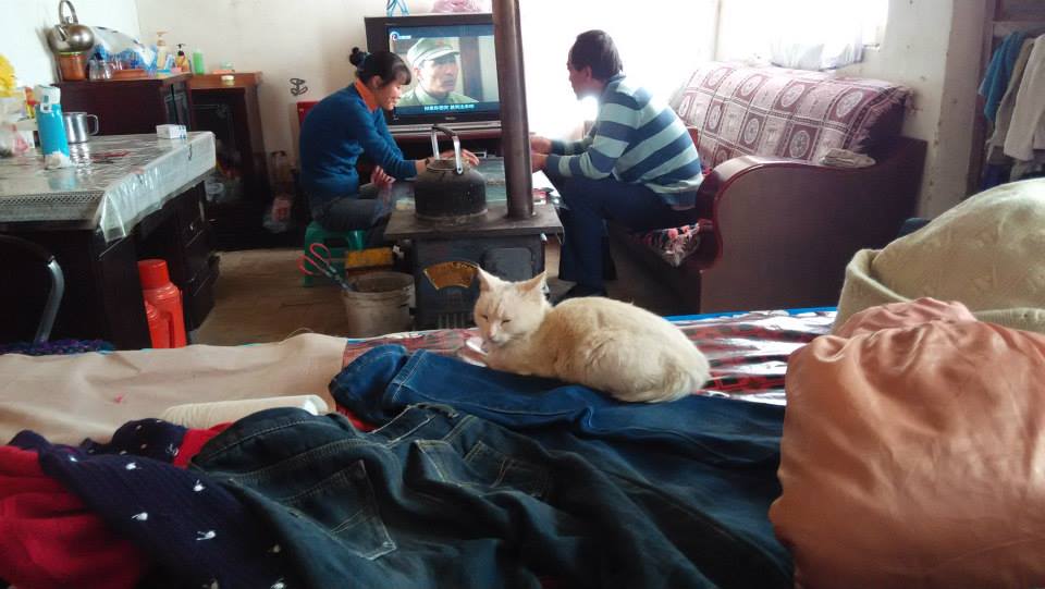 16473_771827392894676_8015759235526463835_n