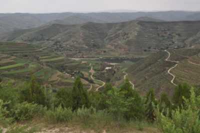 1914757_135925993101811_5606228_n