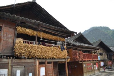 226889_218402018187541_5392668_n