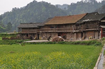 227252_218401961520880_3220074_n