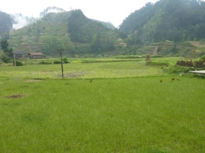 248650_218402031520873_3997754_n