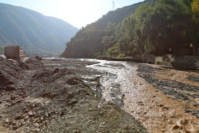 278342_498136323547441_1239114189_o