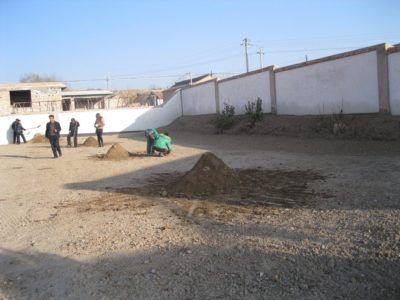 288955_482009491826791_1619481030_o