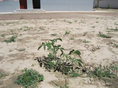 291368_482009585160115_956104273_o