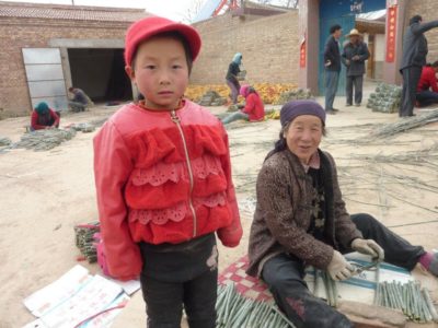 295158_401404243220650_1956973989_n