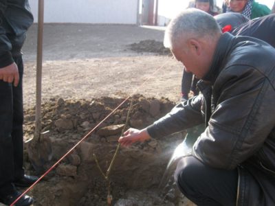 337229_482009335160140_119172015_o