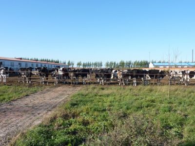 33731_159267910767619_2313629_n