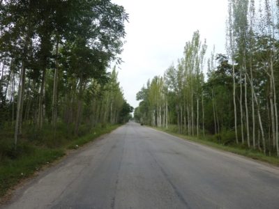 339765_498573956837011_1282208288_o