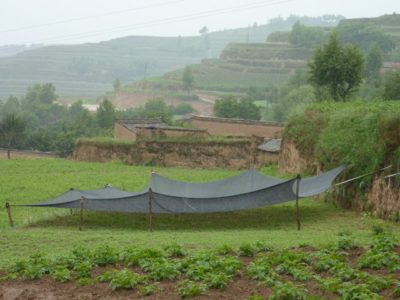 34754_136235906404153_3270891_n