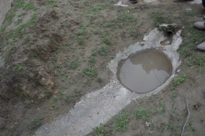 35992_135924743101936_275622_n