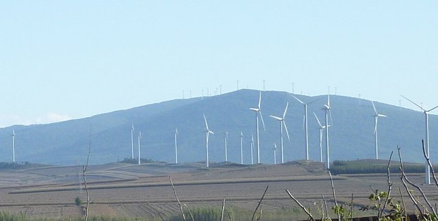 37189_159268260767584_7740109_n