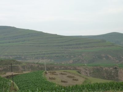 37345_136235613070849_4234037_n