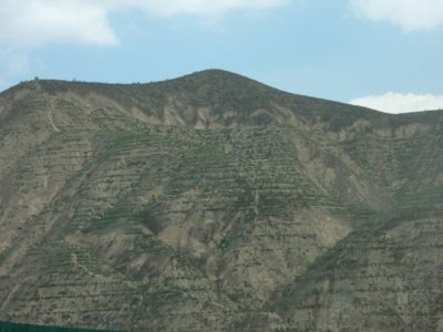 37345_136235616404182_1833257_n