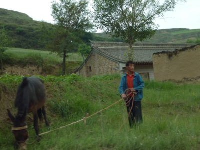 37345_136235619737515_4458847_n