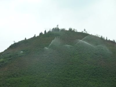 37345_136235623070848_4901969_n