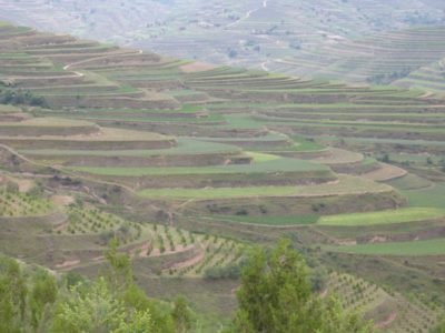 37345_136235626404181_4007380_n