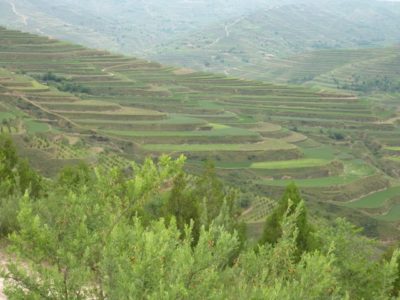 37345_136235629737514_1511190_n