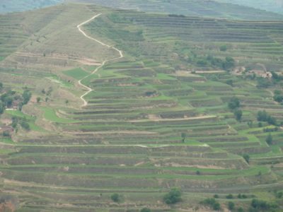 37345_136235633070847_1864761_n