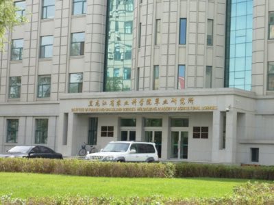 39583_159267297434347_4653795_n