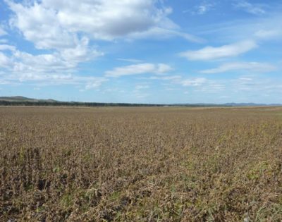 40139_159267690767641_2468837_n