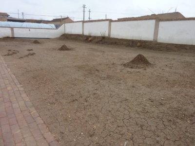 412450_482009528493454_2026253240_o