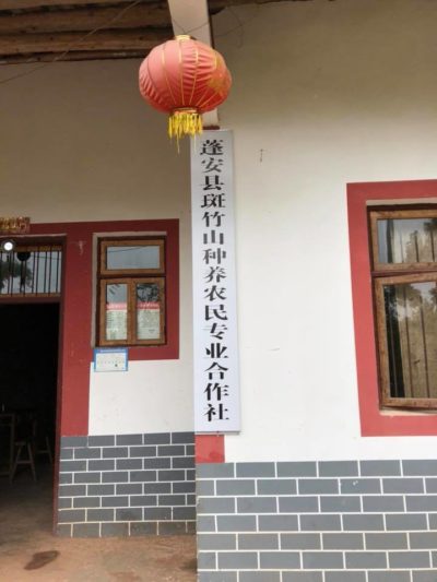 41715257_1787499434660795_336313003181867008_n