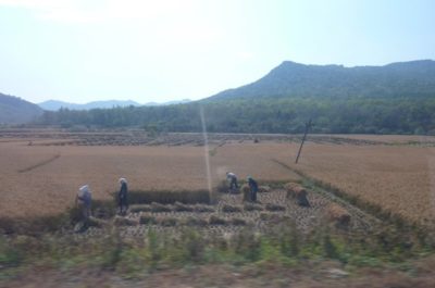 44922_159268170767593_1954502_n