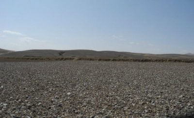 523162_401420266552381_636725271_n