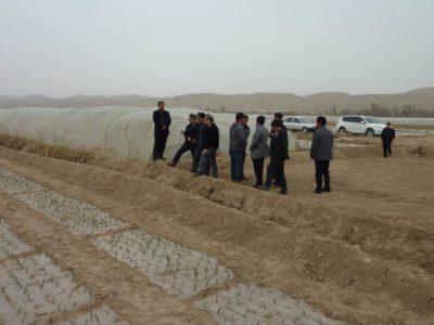 524354_401403973220677_1030757315_n