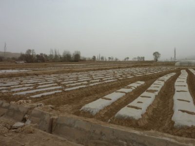 531845_401404099887331_1132994116_n