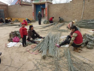 537994_401404196553988_454420304_n