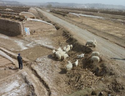 539340_401423529885388_130817762_n