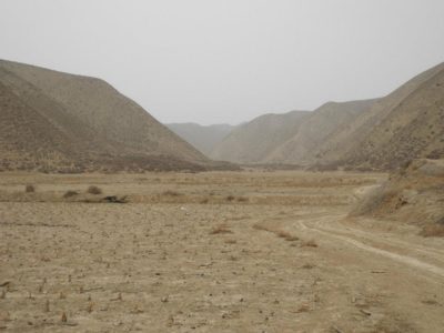 546448_401404713220603_1731742423_n