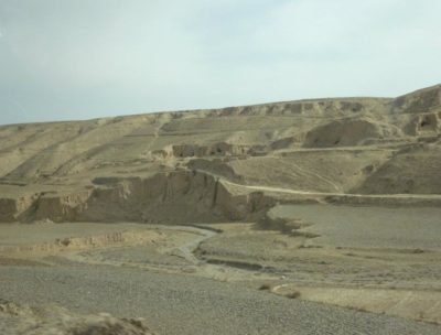 547216_401420193219055_586583139_n