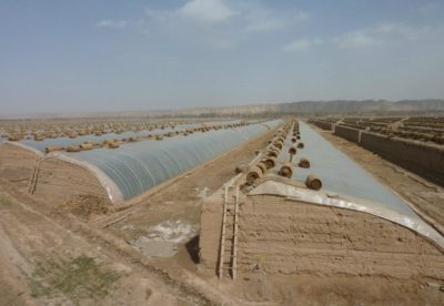 549155_401423469885394_607095169_n