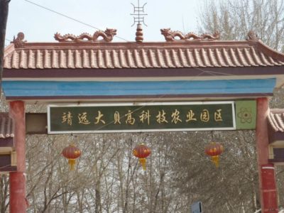 552706_401423419885399_134935774_n