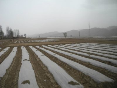 553706_401403916554016_1309989208_n