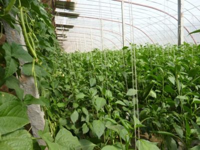 556658_401423583218716_1589167033_n