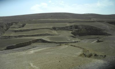 558624_401420133219061_313155581_n